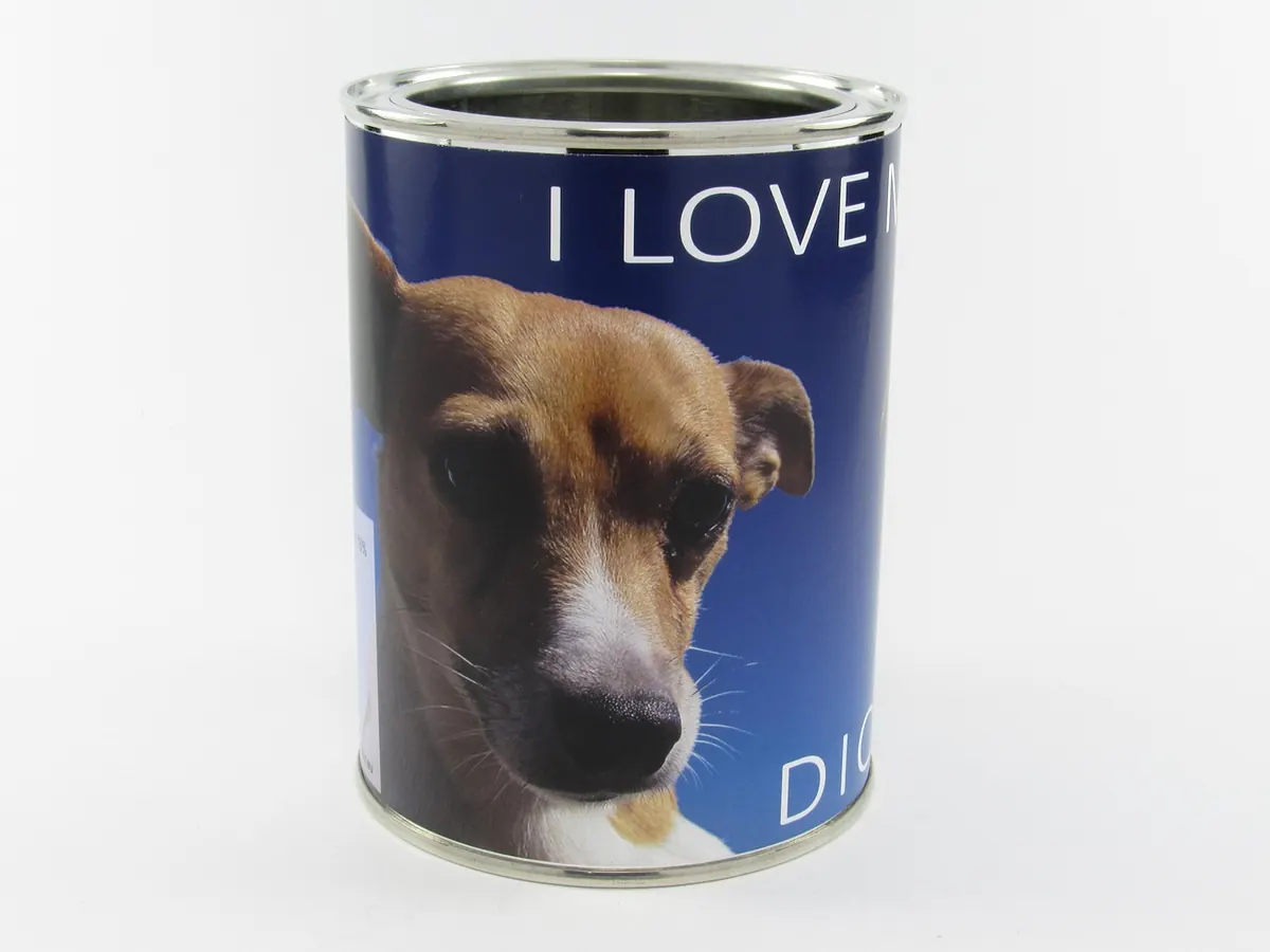 7 Common Pet Food Storage Mistakes That Cause Spoilage