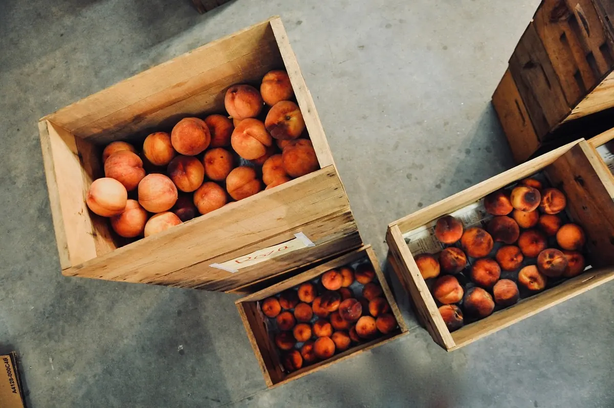 Crate Sizes Explained: How to Pick the Right One for Your Dog